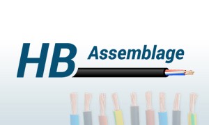 HB Assemblage